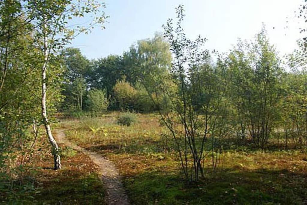 Sfeervol Chalet Midden In De Natuur Halle Bagian luar foto